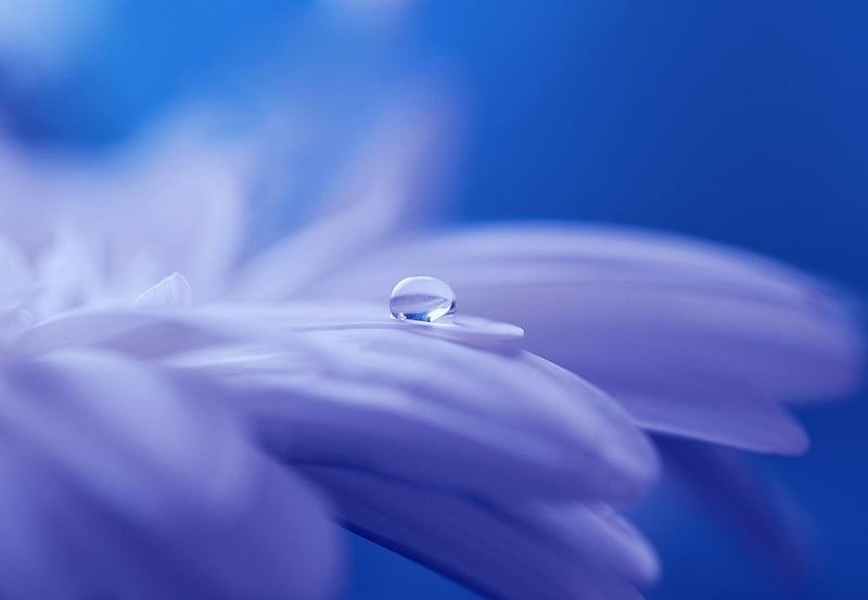 Fairy Tale Image